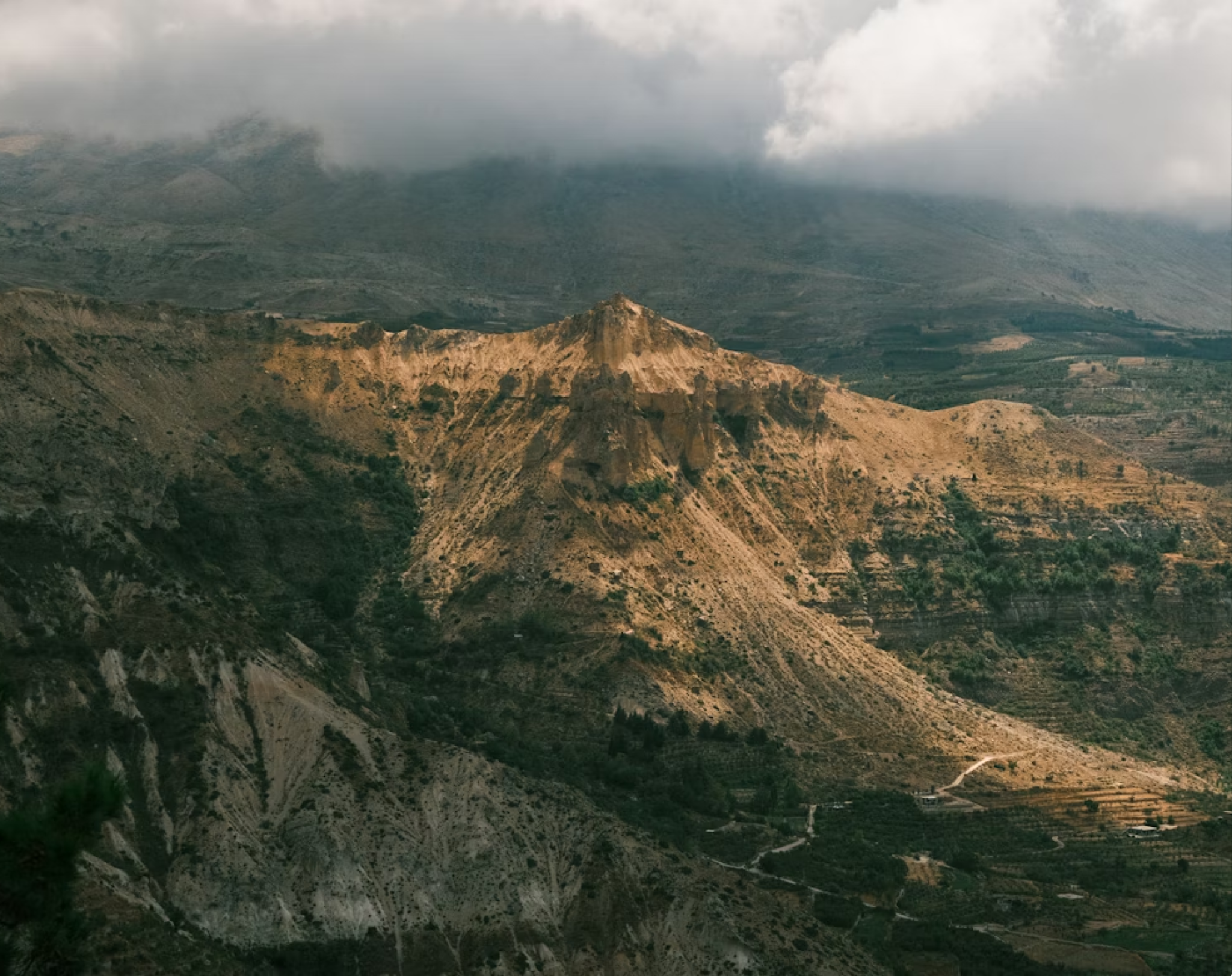 resizecom photo 1737476846427 f05d67f3377e